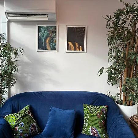 Modern Center 公寓 托里什韦德拉什